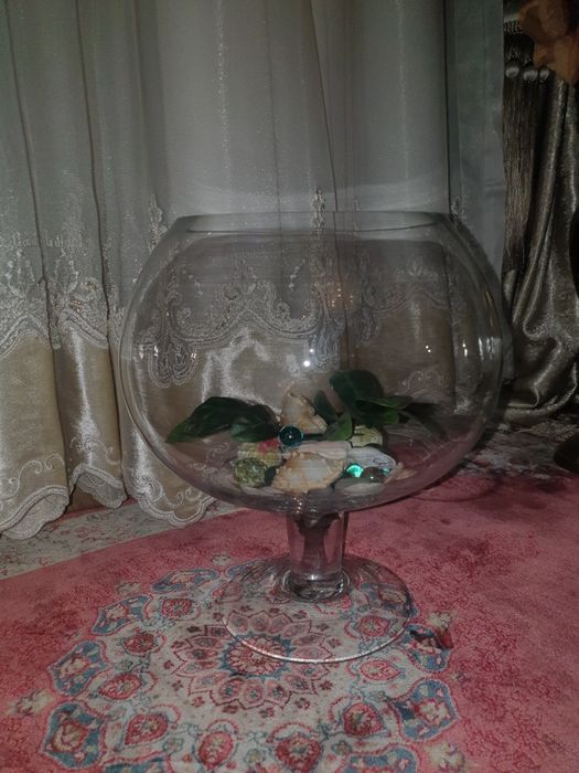 Akvaryum dumalo oyog'i bor