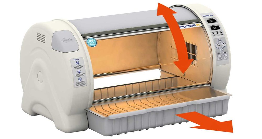 Incubator veterinar Rcom ICU MAX – recuperare câini, pisici, păsări, rozătoare – nou, garanție