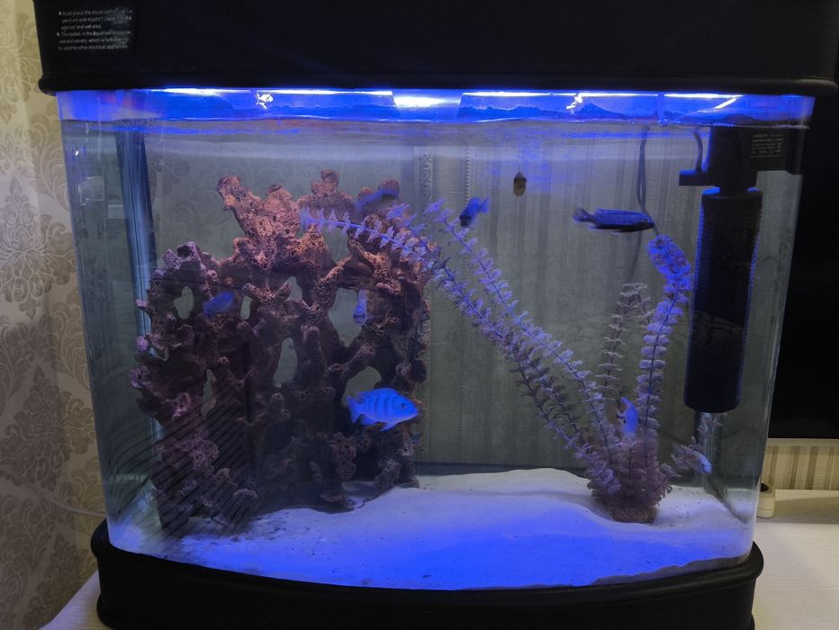 Аквариум красивый, объем 190 л