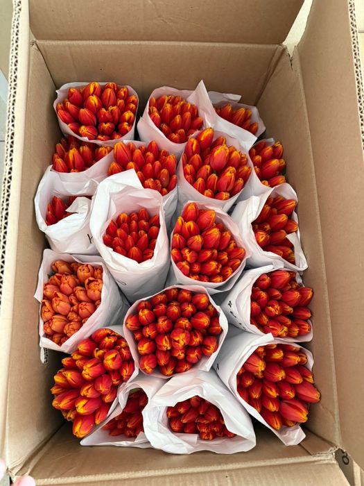 Продам Тюльаны ОПТ в Розницу