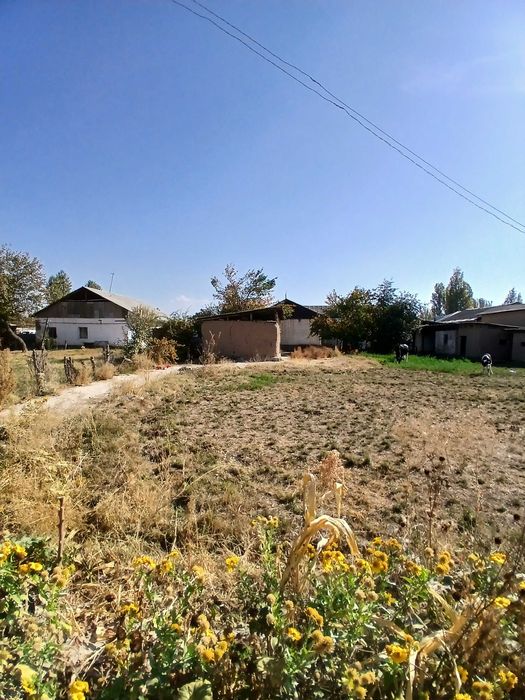 Ер ва Уй сотилади енги Тошкентни ёнида