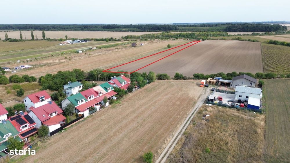 Teren intravilan 6000 mp Darza 13E/mp deal pentru case, ferma, product