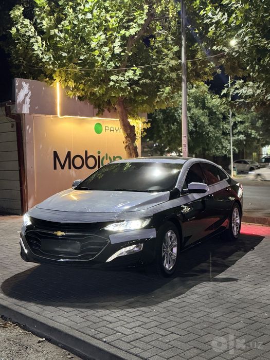 Malibu2 Premier