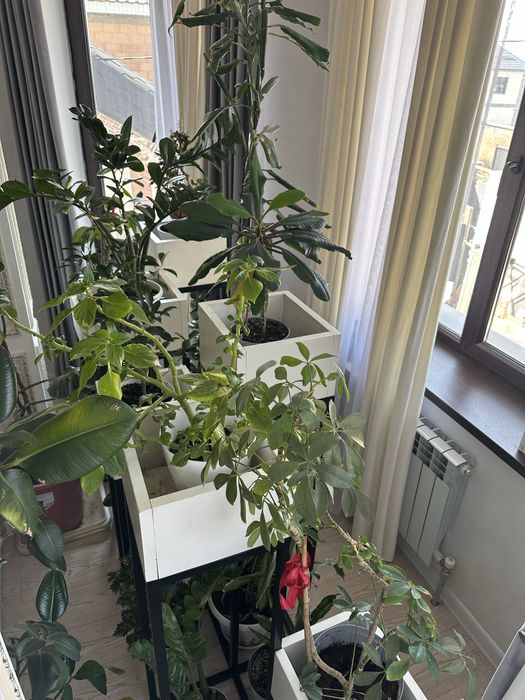 Подставка для Цветов .