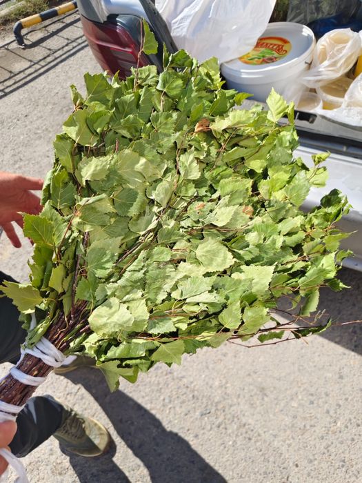 Продам мед и веники баннные