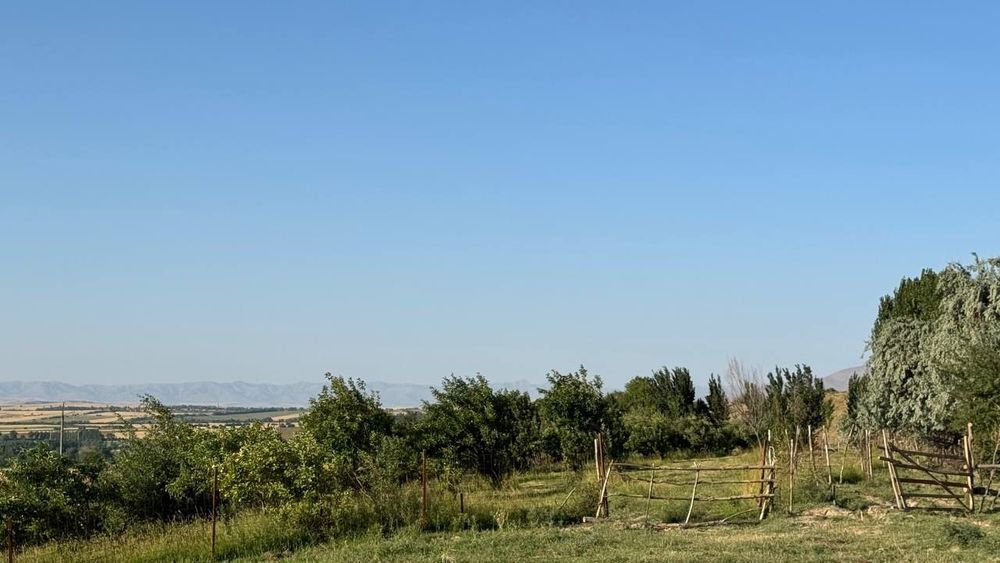 Продаётся фермерское хозяйство 11 га..