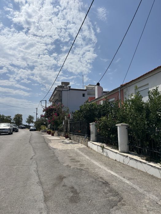 Donez Porcusori de Guineea