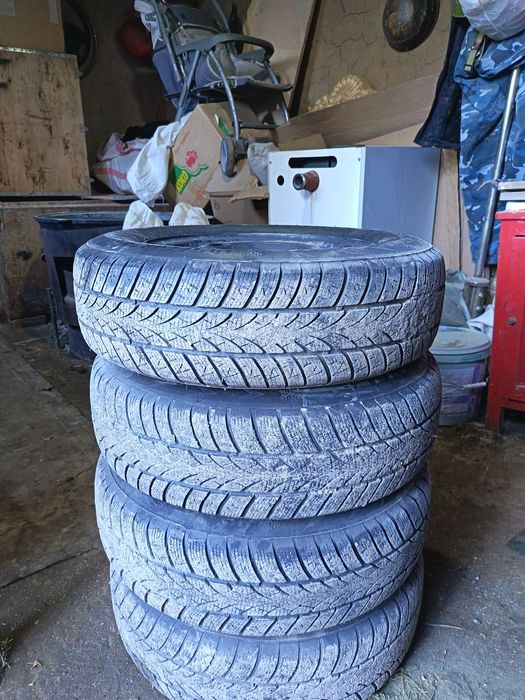 зимные покрышка дискасымен