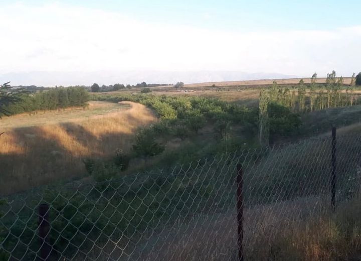 Ауыл шаруашылыкка жер