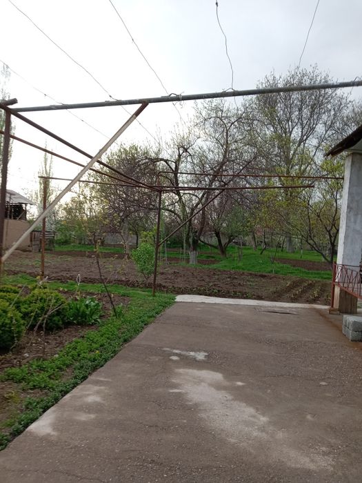 Октошда далаховли учун жуда мос 12 сути жой сотилади