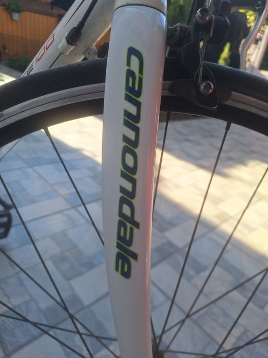 Semicursiera Mudyfox race 100