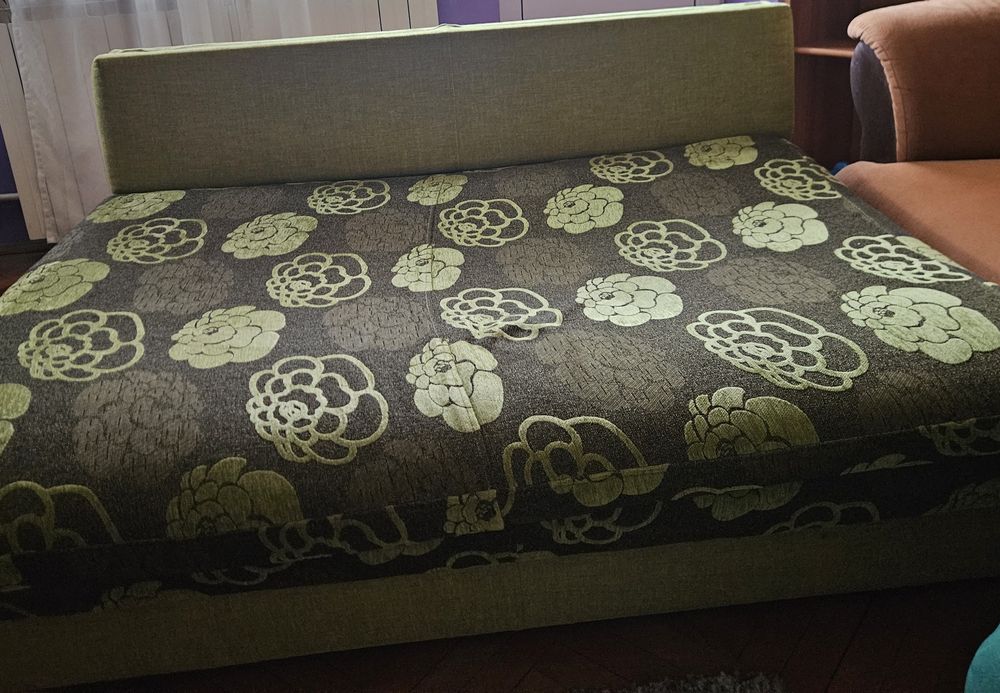 Pat 1 persoana cu spatar