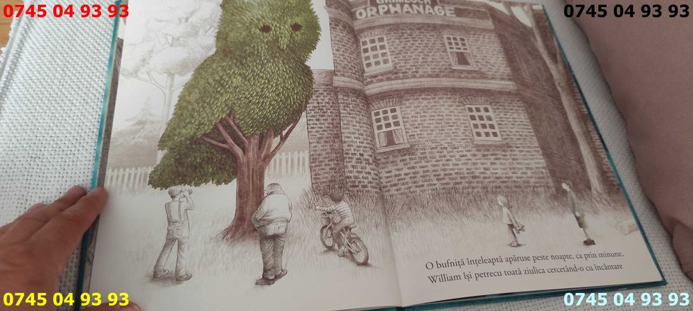 carte carti gradinarul noptii fratii Fan