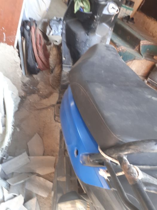 Педа бумер мопедос