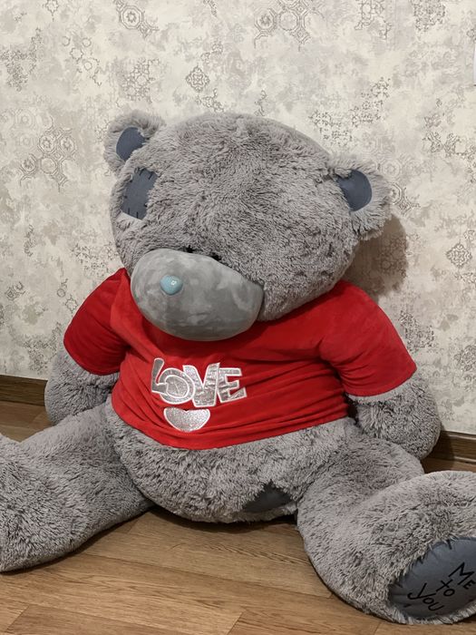 Teddy kotta yangiday