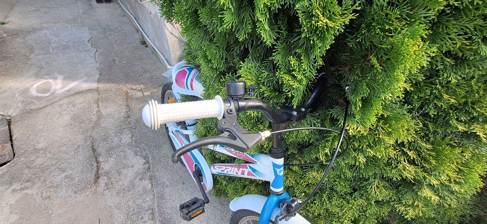 Sprint kiddy Calipso 20"
