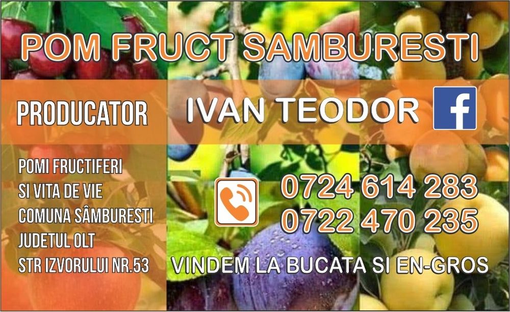 Pomi fructiferi producător