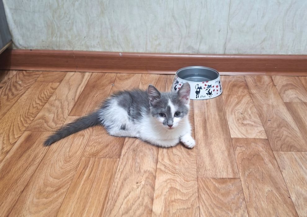 2,5 месяца чистого счастья это Ксюша