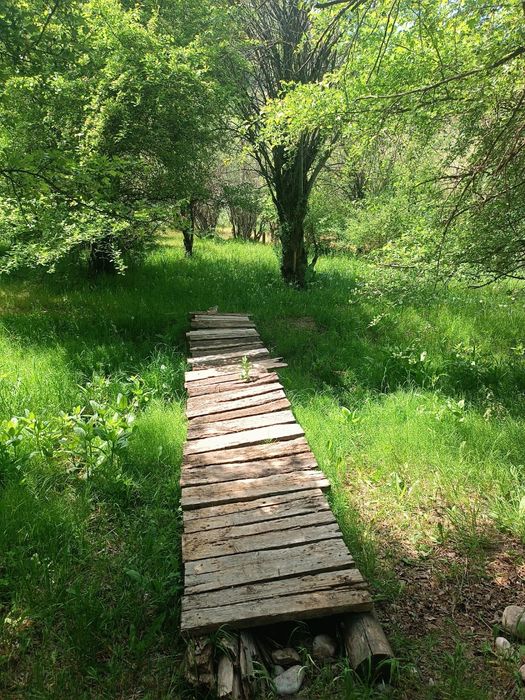 Тапчаны в районе Бургулюка