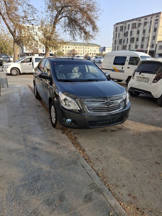 Кобилт 2019 йил радной краска