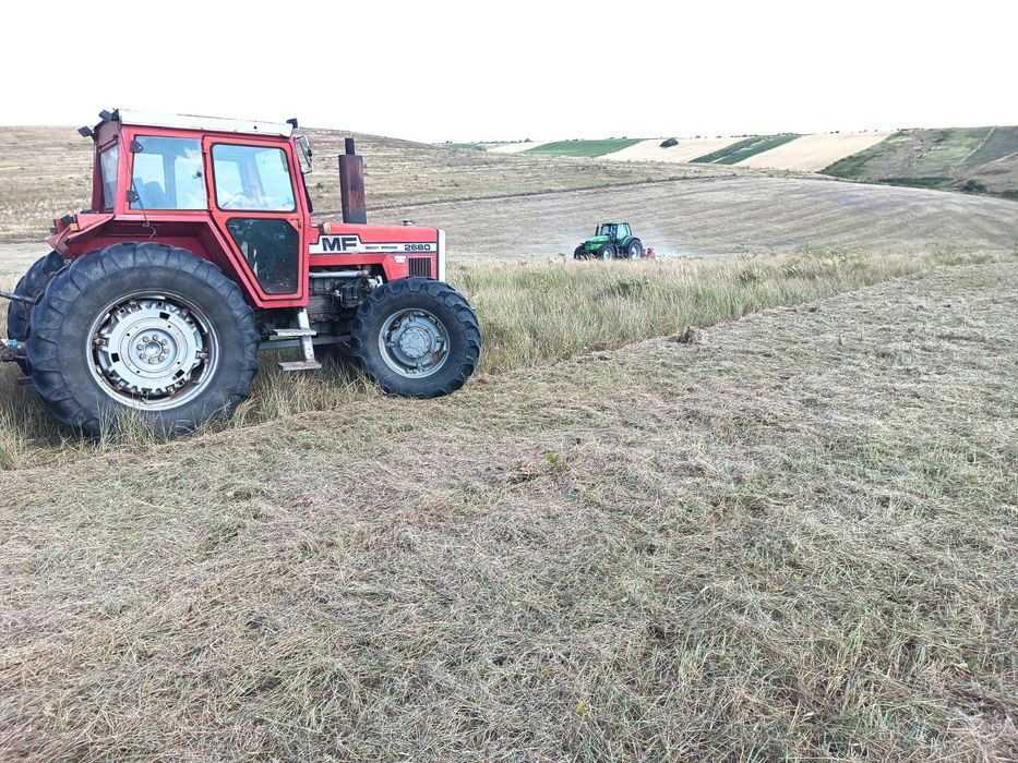 Curatare defrisare terenuri tocat spini