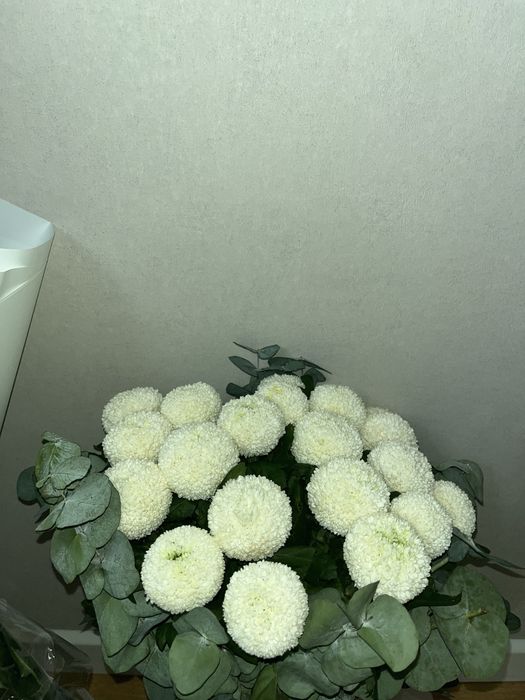 Продам цветы букеты