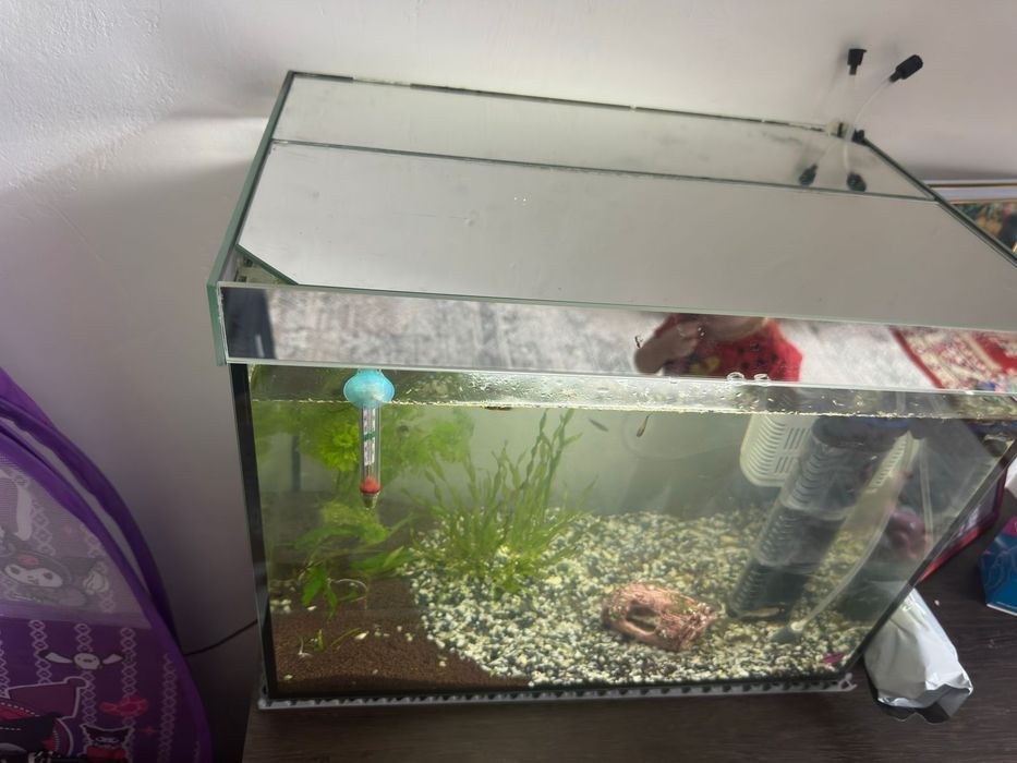 Продам аквариум с рыбками