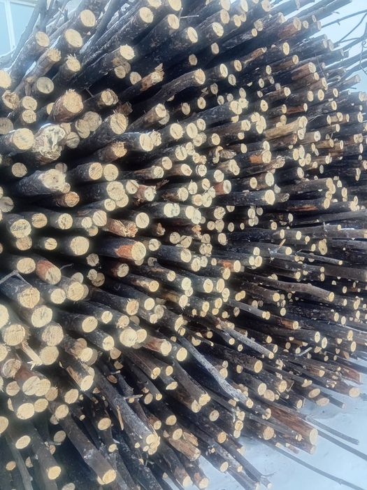 Берёза кругляк снижение цены