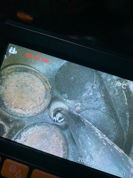 Услуги Эндоскопа проверка Двигателя