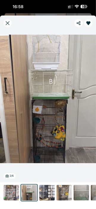 Продам клетки для попугаев