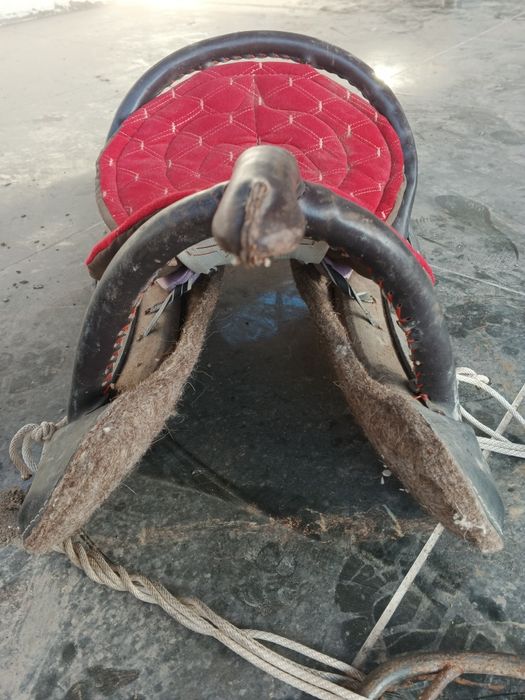 киргиз ер токым срочна