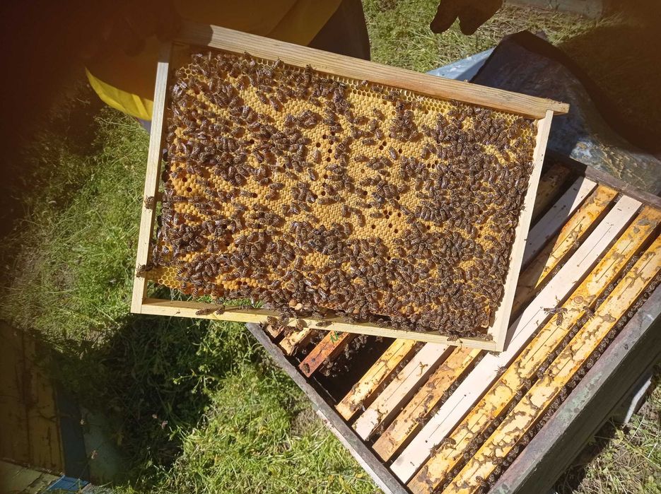 Продавам отводки ДБ