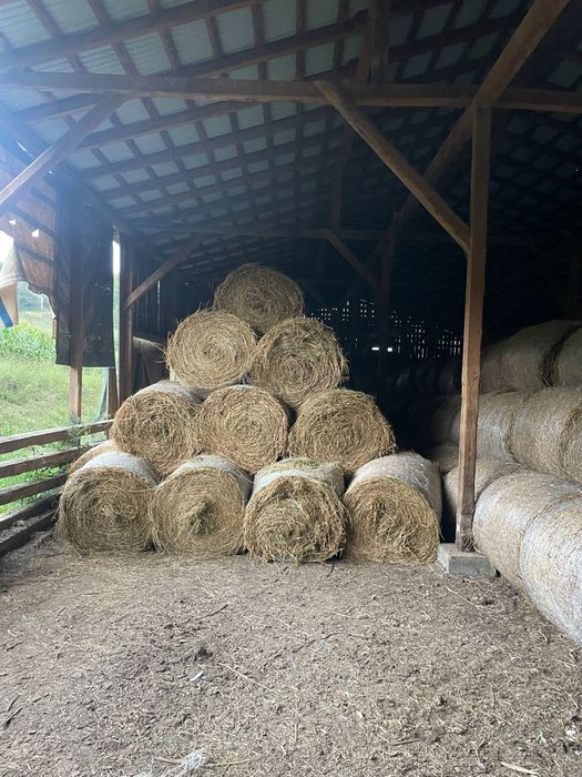 Baloti fan.Rot.20-40.drept.500.TIR Sau lucerna.Transport inclus.RO