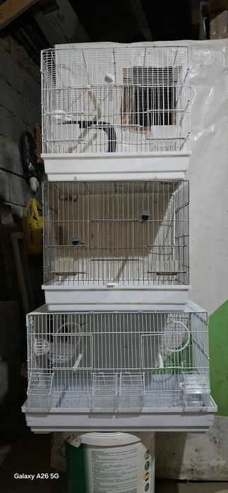 Клеткалар сатылады.