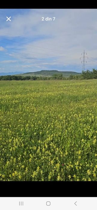 Teren in limita intravilanului Hunedoara