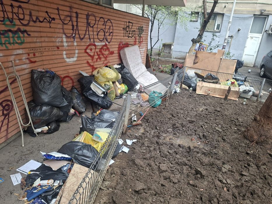 Taiere copacii toaletare debarasare decopertari demolari 24/7