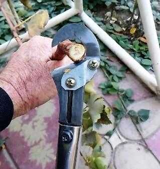 Секатор Высоторез механический .