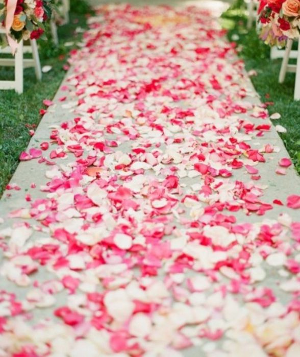 Живые лепестки роз