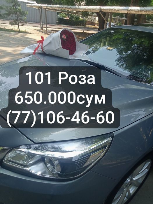Доставка Розы 101шт за 650.000сум