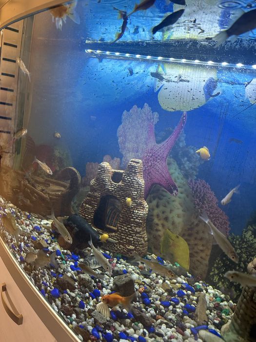 Продам аквариум atman cr-900