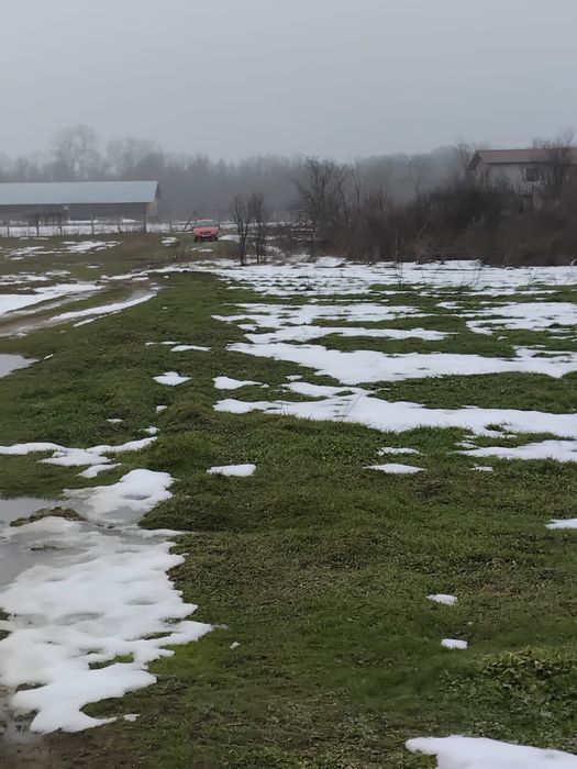 Teren 5000 mp Cornetu-Magurele, jud. Ilfov