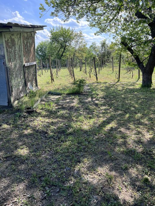 Продава се Къща в Разград, Абритус - 600 кв.м за 64 €/кв.м - Снимка #2