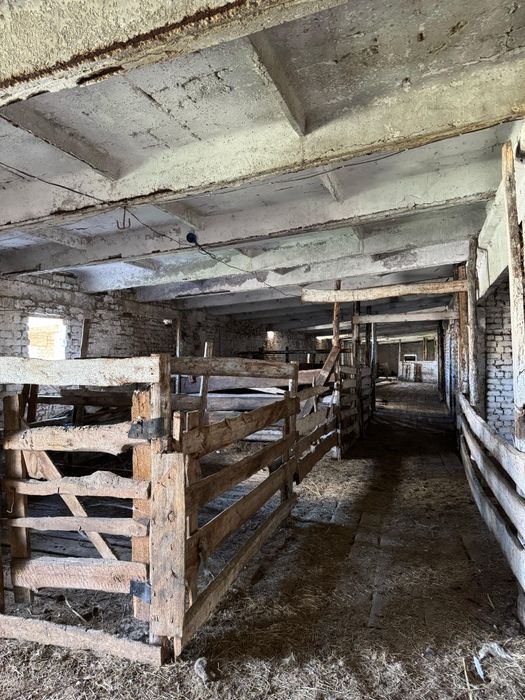 Продам Крестьянское хозяйство