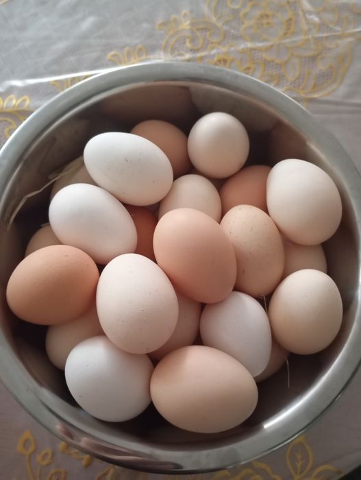 Продам яйца домашние