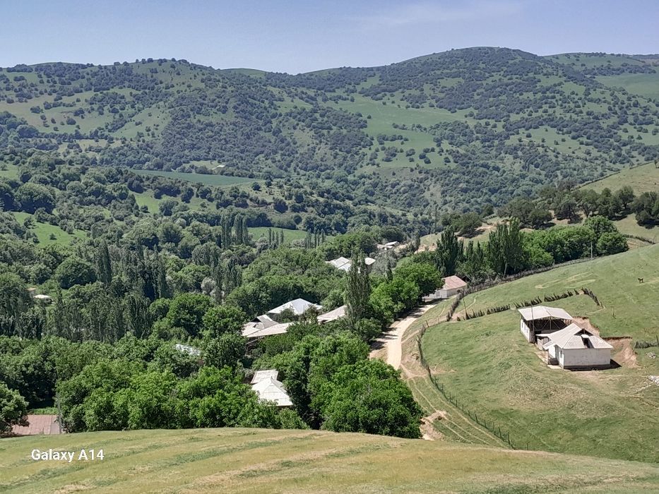 Галавасой паселкаси Тогизкол кучаси 8 чи уй котта ховли уй 24 сотик