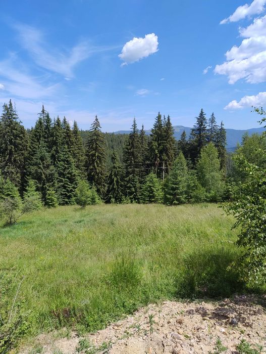 Vând teren intravilan Bucovina Pojorata 15 e/mp