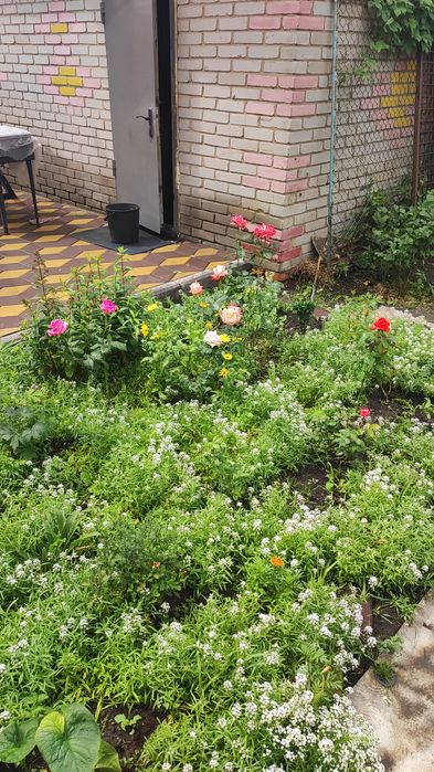 Продам дом мкр Западный