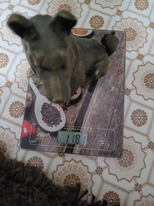 Бронзовые статуэтки, тигр, слон, собака, дельфин