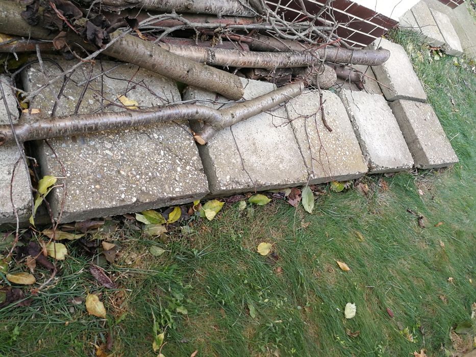 Dale dala placi placa beton ciment