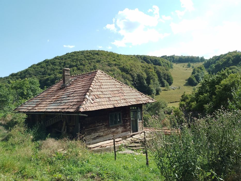 Casa traditionala Ramet 1.3 ha plus padure 3000m2  schimb mb trac 1600